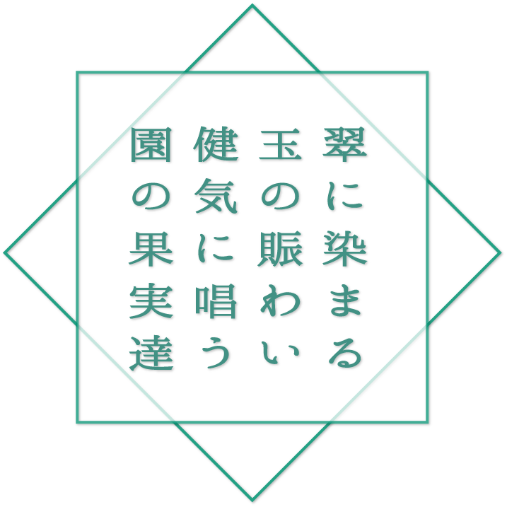 Top Image copy